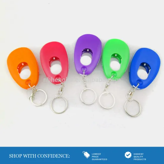 manufacturer mini led lantern key chain