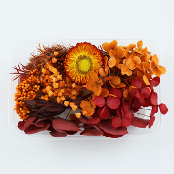 Natural Dried Flowers and Petals for Resin Art, Candles, and Jewelry Crafts - Bulk Packaging