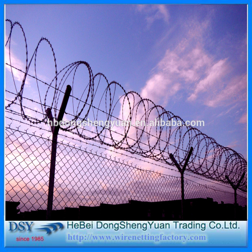Concertina Wire Mesh Fencing Razor Barbed Wire Philippines, High