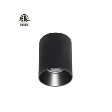 Daytonled Master D IP65 Series Commercial Cylinder Downlight