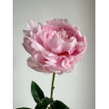 বিলাসবহুল প্রিমিয়াম ডিনার প্লেট Peony ফুল