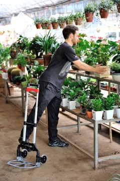 70kgs Folding Wagon