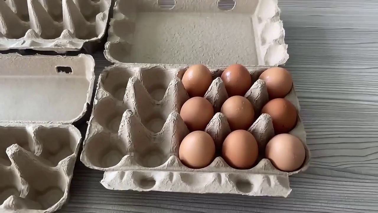 Biodegradable Pulp Paper Egg Cartons