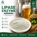 Aplicaciones industriales de procesamiento de alimentos, hidrólisis de lípidos, enzima lipasa