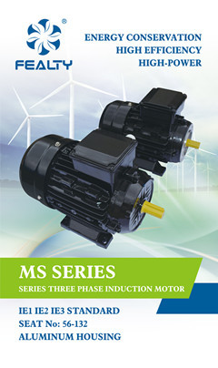 MS series motor