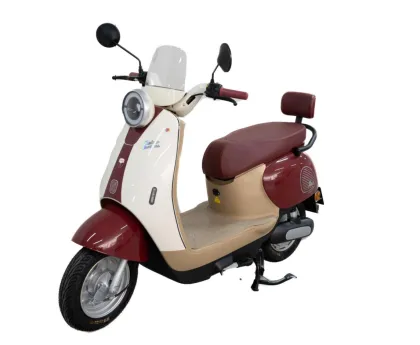 Street Legal Electric Scooter for Urban Commuting