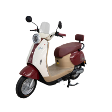 Scooter eléctrico legal de la calle para viajes urbanos