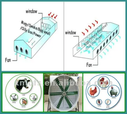 Animal Husbandry Equipment (OFS-146SL)