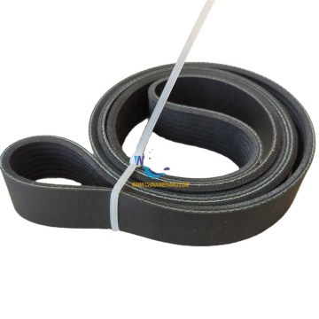 Original Shanghai Engine 8PK1587 Fan Belt D16A-106-03+B for Sale