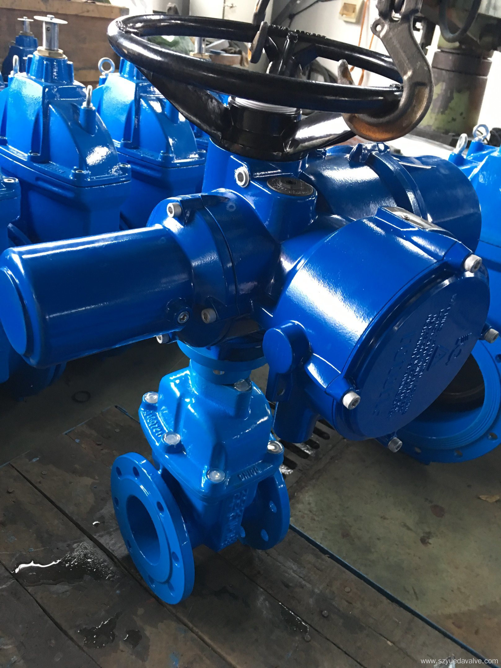 Electric Gate Valve DIN/BS Double Flange Non-Rising Stem