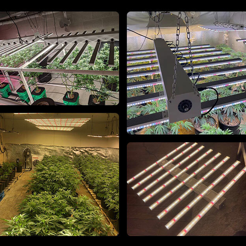 1000w grow lights led