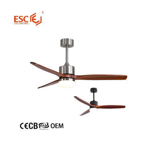 Modern smart ceiling fan with light