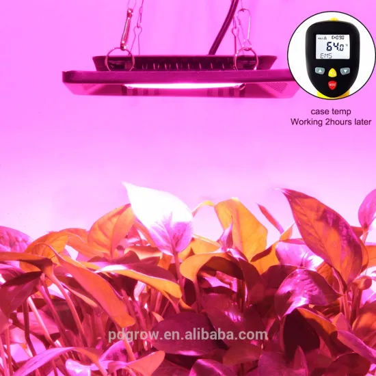 Professional After-Sale Service Red Blue UV IR Vegetative Control 100W LED Grow Light