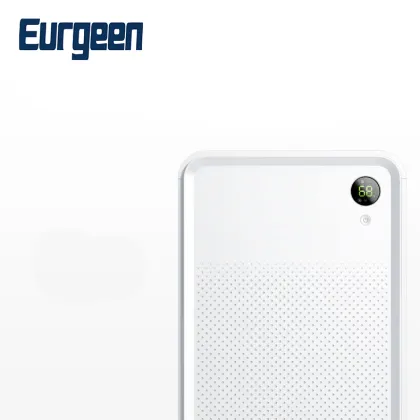 Wholesale Mini Portable Air Dry Dehumidifier with Water Tank