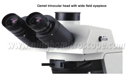 40X to 1000X Trinocular Biological Research Microscope BX43: Advanced Scientific Imaging Tool