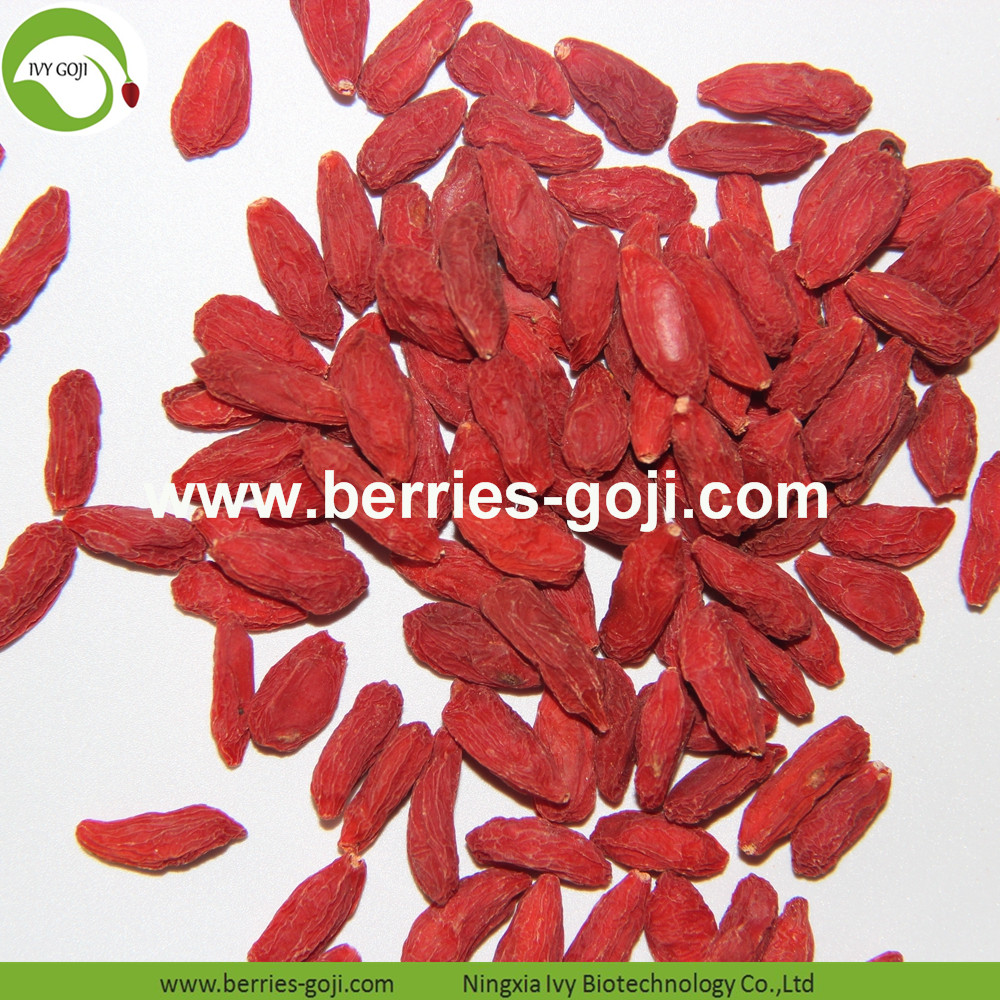 Goji berry