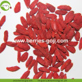 /msite/products/detail/productid/54003138/id/540550.html