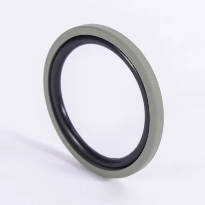 Professional Design Hydraulic Piston Compact Seal