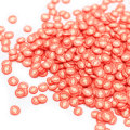 En gros 4mm tomates tranches polymère argile Simulation légume Slime remplissage bricolage Nail Art décor téléphone cas ornement accessoire