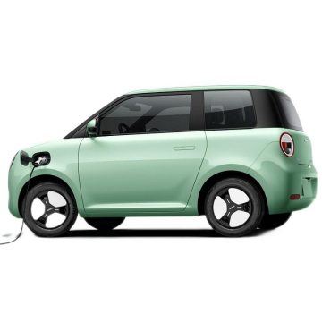 Electric Cars for 14 Year Olds with Luxury Accessories and 5 Seats