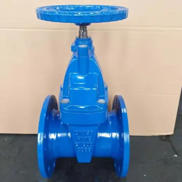 Resilient Seat Gate Valve BS 5163