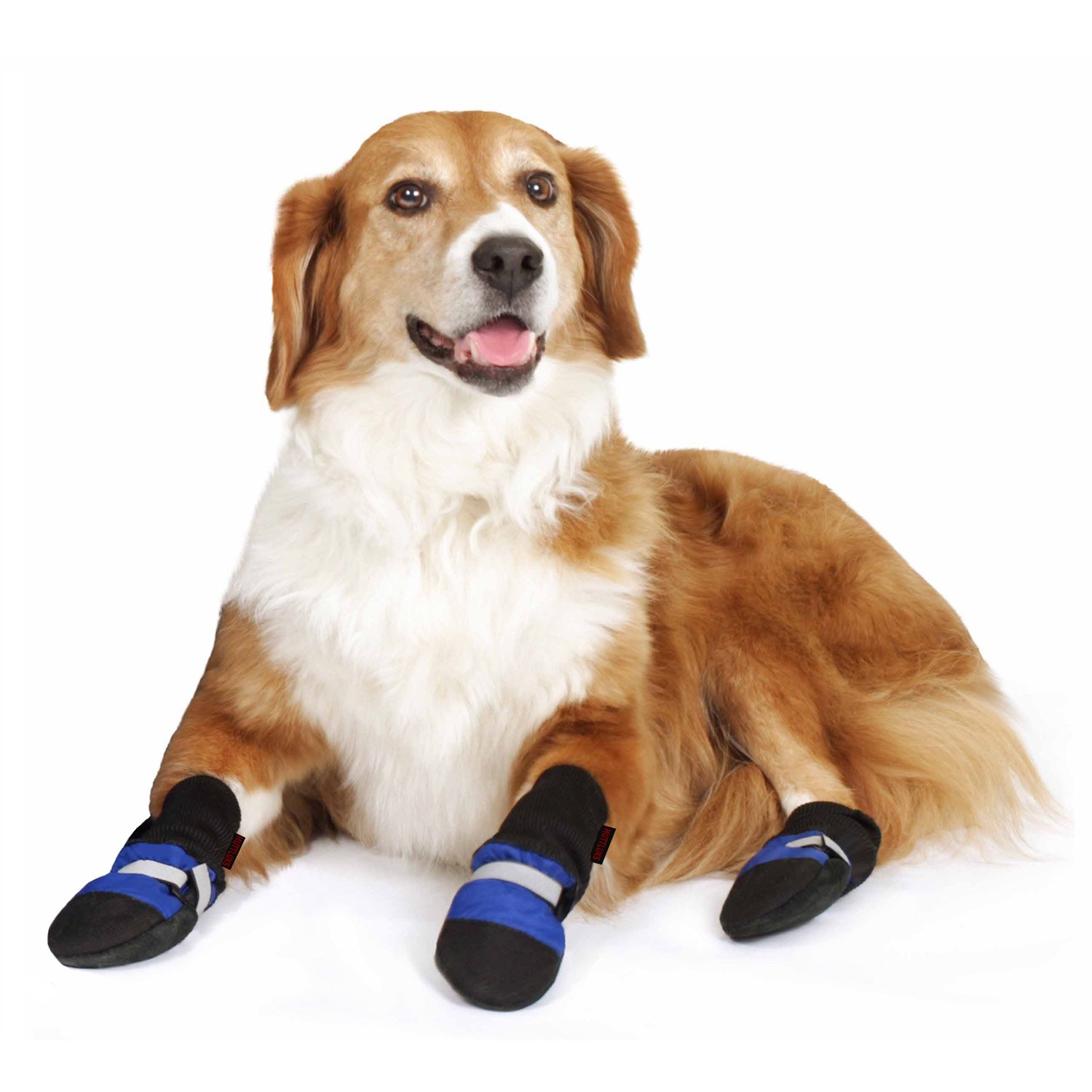 dog shoes india dog shoes india