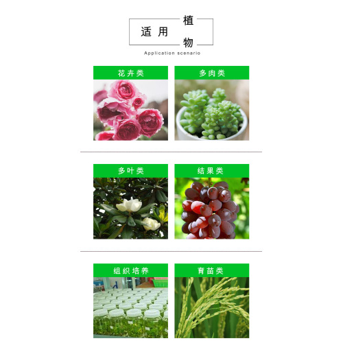 Best Mars Hydro COB Grow Light