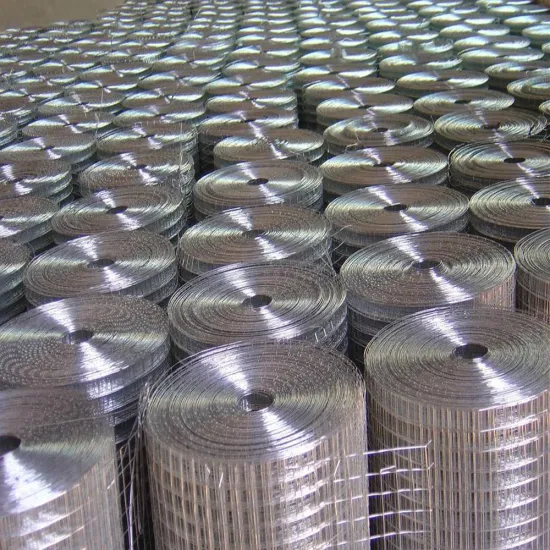 Galvanized Welded Wire Mesh Roll