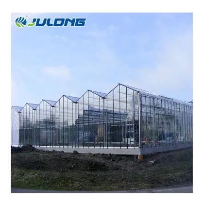 agriculture glass greenhouse tomato hydroponics smart farms