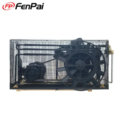 Fenpai 1.6Nm³/min 3.0MPa Industrial Air Compressor Equipment