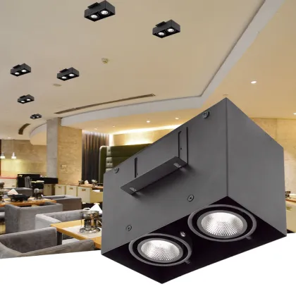 Morden Square Single Double Square Grid Light Downlight