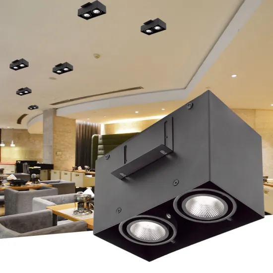 Morden Square Single Double Square Grid Light Downlight