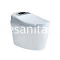 Automatic Flushing Intelligent Toilet and Smart Toilet