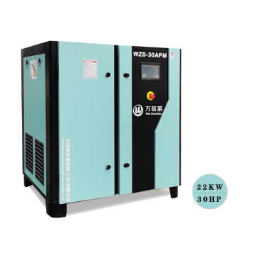 Shanghai WZS CNG Compressor 20kw Price