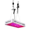 LED Grow Lights for Plant Factory City Farming