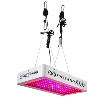 LED Grow Lights สำหรับการปลูกพืชในโรงงานเมือง