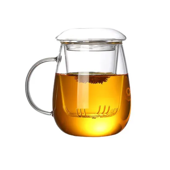 500ml Modern Clear Glass Tea Cup Set: Ideal for Home Use, Perfect for Blooming Tea, Heat Resistant & Dishwasher Safe
