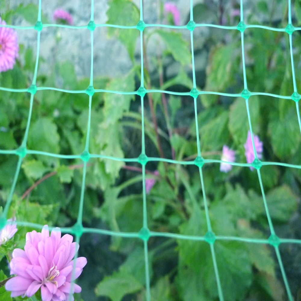 Extruded Plastic Mesh Garden Garden Netting