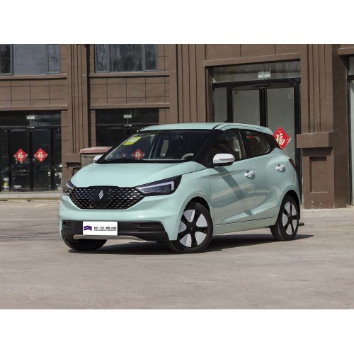 JMEV EV3家族电动汽车