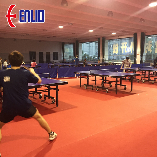 Enlio table tennis floor mat with ITTF