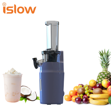 Hot Selling SJ-019 Home Cold Press Multifunctional Juicer Extractor Machine