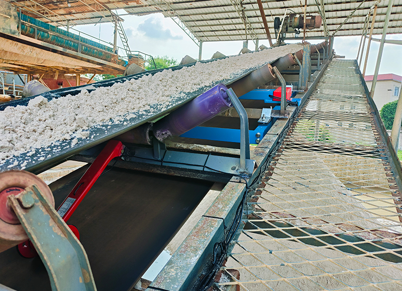 belt width 520 Belt scale3