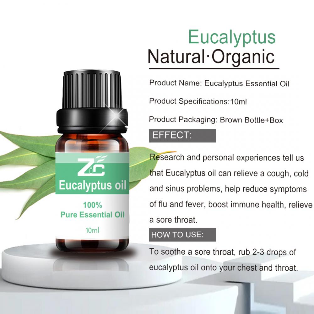 O óleo essencial de eucalipto natural 100% puro para massagem