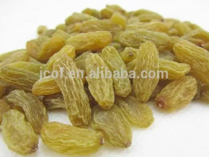 raisin, xinjiang origin raisin, green raisin, all kinds of raisins