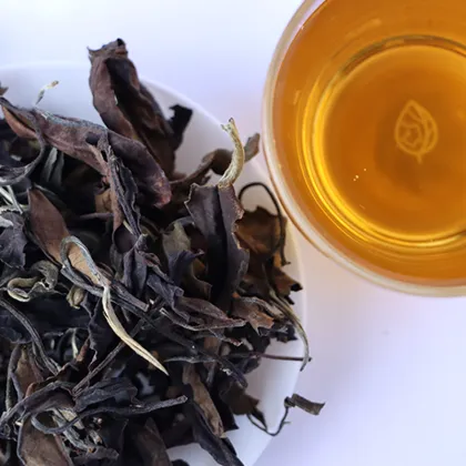 Yunnan Organic Big Leaf Slimming Brown/White Tea - Hot Selling