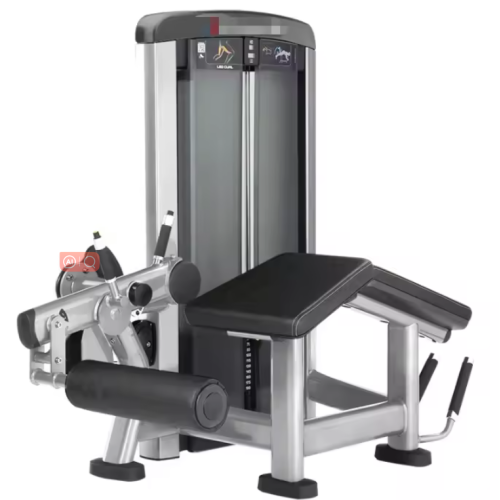 Horizontal Leg Curl Trainer