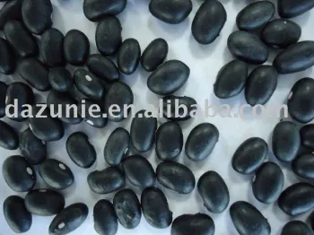 Black Kidney Beans