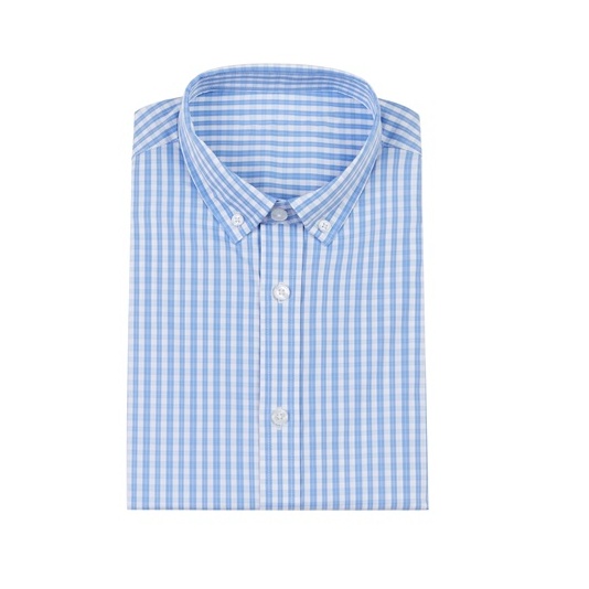 Regular Fit Button Down Shirt