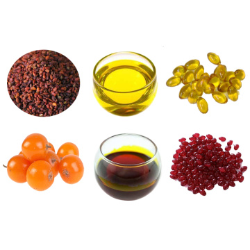 Seabuckthorn Seed / Fruit Oil Liver Health Material