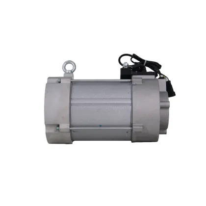 Wholesale High Quality AC Motors and Golf Cart Accessories